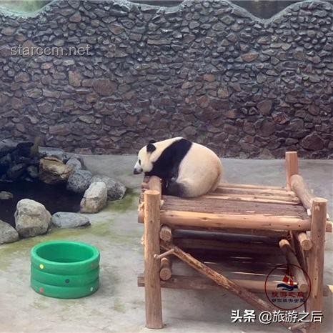 神农架景区“野人”招聘背后的旅游经济洞察